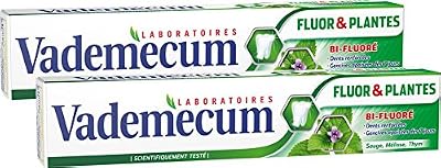 Vademecum - Dentifrice - Fluor et Plantes - Tube 75 ml - Lot de 2