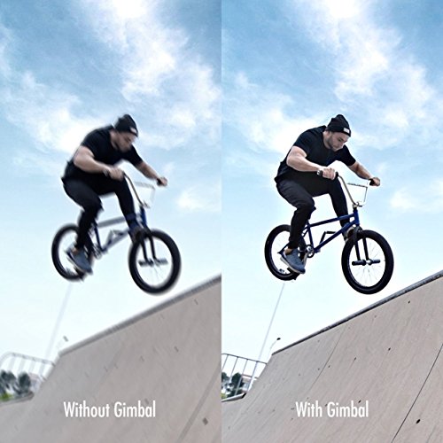 Preisvergleich Produktbild ZHIYUN Evolution Stabilisator Dreiwellenbewegungskamera Elektrischer Stabilisator (Farbe: Schwarz)