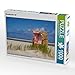 Produktbild CALVENDO 4059478916159 Strandkorb No. 337 Foto-Puzzle Bild von Dölling Angela, 1000 Teile, Weiß, Lege-Größe 64 x 48 cm