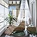 HENGSONG White /Pink Mosquito Net Bed Canopy Polyester 5.5 Meter x 2 Meter Insect Protection (White)