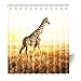 Produktbild Violetpos Duschvorhang Afrika Prärie Giraffe Hochwertige Qualität Badezimmer 180 x 200 cm