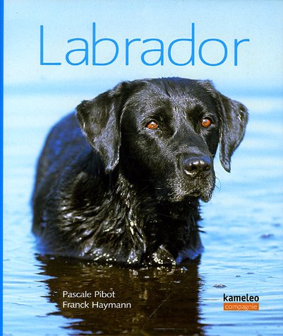 Labrador en ligne Labrador en ligne