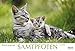 Samtpfoten 2017: PhotoArt Panorama Kalender by