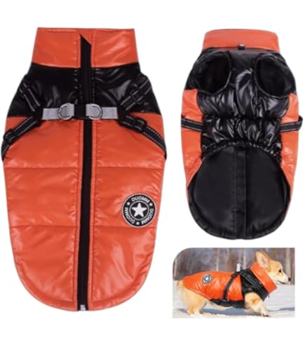 FePen Winter Hundejacke - Wasserdichter Hundemantel Größe 3XL In Grün Mit Reflektor