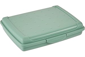 keeeper Boîte Fraîcheur avec Fermeture à Clic, 17 x 13 x 3,5 cm, 500 ml, Luca Mini, Nordic Green
