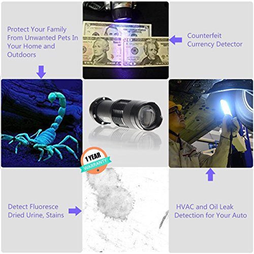 Hisea Portable Mini-UV-Lampe Taschenlampe mit grellem Licht als Urinfleckendetektor für Pet Partner / Scorpion / Spek / Gefälschte Brille mit UV - 6