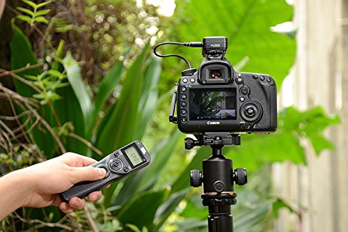 Pixel T9 DC2 LCD FSK 2 4GHz D  clencheur filaire et sans fil T  l  commande avec deux c  bles pour Nikon D800 s  rie D810 s  rie 300series D300s D700 D300 D7200 D7100 D7000  DC0 DC2 