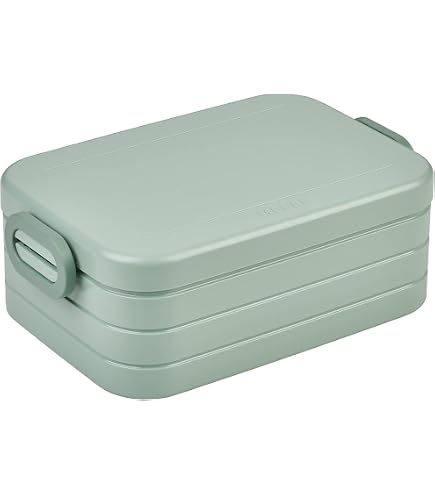 IFancy Lunchbox Tasty Bento 1000ml Vert - Boîte à Repas Étanche Anti-Fuite Enfants Adultes, Sans BPA, Micro-ondes Lave-vaisselle Congélateur