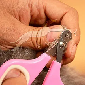 PETS EMPIRE Dog Cat Nail Cleaning Supplies Pet Scissors Clippers