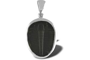 Starborn Fossilized Trilobite Pendant Sterling Silver