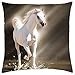 Produktbild Shadowfax - Throw Pillow Cover Case (18