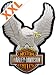 Produktbild Harley-Davidson Aufnäher Upwing Eagle Groß Silber
