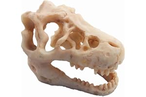 XIZHI ZYMY Decoración de acuario de resina emulacional, calavera de dinosaurio, adorno de esqueleto para acuario, cueva, paisaje, casa de reptiles (calavera de dinosaurio)