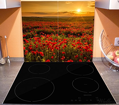 Wallario Herdabdeckplatte / Spritzschutz aus Glas, 2-teilig, 60x52cm, für Ceran- und Induktionsherde, Mohnblumenwiese bei Sonnenuntergang am Abend - 3