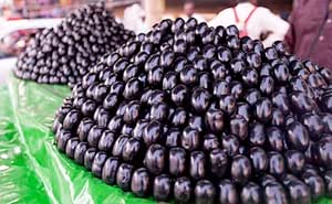 Shopaholic Hybrid Sweet Black Jamun Jambolan Java plum Black plum ...