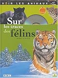 Sur les traces des félins