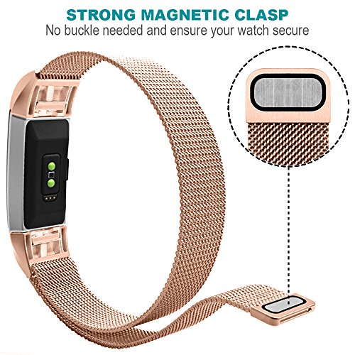 Correa para Fitbit Charge 2 con Protectores de Pantalla AFUNTA 3 Packs TPU Pel culas de Protecci n con 1 Correa de Acero Inoxidable Pulseras de Repuesto 150mm-225mm Rose oro reviews Correa para Fitbit Charge 2 con Protectores de Pantalla AFUNTA 3 Packs TPU Pel culas de Protecci n con 1 Correa de Acero Inoxidable Pulseras de Repuesto 150mm-225mm Rose oro