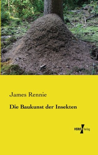 Die Baukunst der Insekten