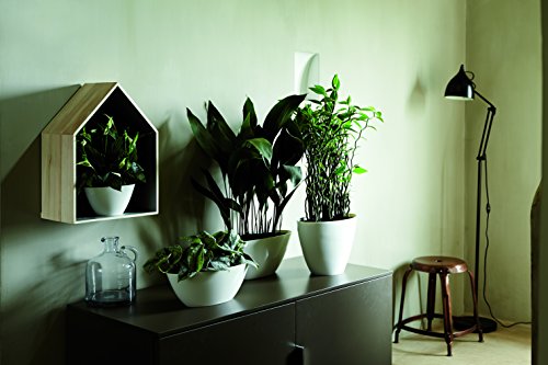 elho Brussels Diamond Oval Blumentopf 36cm – Weiss - 4