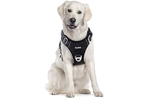 Funfox Hundegeschirr für Große Hunde No Pull Geschirr Einstellbar Anti Zug Sicherheitsgeschirr , Geschirrset Mittlere Hunde B