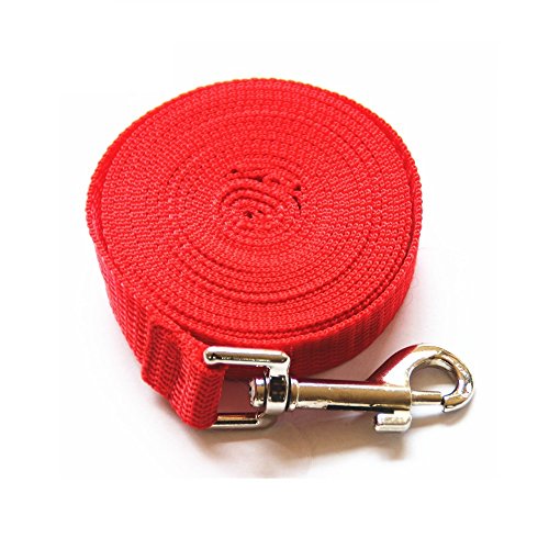 winstory línea de 2 cm de largo Perro Mascota Cachorro Lunge de seguimiento de entrenamiento obediencia plomo correa