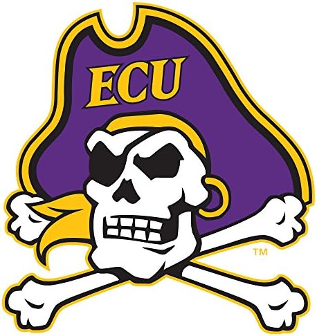 Potter Manufacturing NCAA East Carolina Pirates 12" Tall Primary Mascot Jumbo Vinyl Transfer Paper, Team Color, One Size