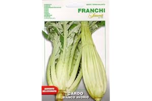 FRANCHI SEMENTI SEMENTI DI ORTAGGI DI QUALITA' PER USO HOBBYSTICO IN BUSTINA TERMOSALDATA (CARDO BIANCO AVORIO)
