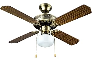 BASTILIPO Ventilateur de plafond Cadix (105 cm) avec lames réversibles et possibilité de télécommande adaptable
