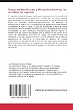 Image de Cepas de Bacillus sp. y Bradyrhizobium sp. en el cultivo de algodón: Influencia de cepas de Bacillus sp. y Bradyrhizobium sp. en campo de agricultore