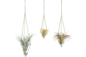 Sziqiqi Soportes Colgantes Metálicos para Plantas de Aire Himmeli, Maceta Geométrica Moderna con Cadena, Colgador de Planta de Aire de Bronce, Pantalla de Plantas de Aire Tillandsia, Bronce