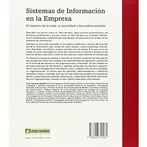 Sistemas de Información en la Empresa (ACCESO RÁPIDO)