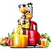 Produktbild GAYY Low - Speed - Saftpresse Hause Automatische Gebratene Fruchtsaft Obst und Gemüse Multifunktionale Sojamilch Milch Saft Maschine,Rot