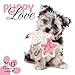 Puppy Love 2013: Hundewelpen by 