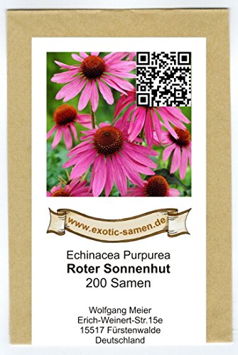 Roter Sonnenhut – Echinacea purpurea – Zier- / Arzneipflanze – 200 Samen - 2