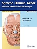 Image de Sprache - Stimme - Gehör - Anatomische Grundlagen