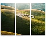 Mit Fine Art Prints von Paul Sinus Art bietet sich eine einfache und wunderbare Möglichkeit Ihre Wohnräume zu gestalten. Verschönern Sie Ihr Wohnzimmer, Schlafzimmer, Kinderzimmer, Küche, Flur, Arbeitszimmer oder Büro und gestalten sie sich Ihr persönliches Wohlfühlambiente.