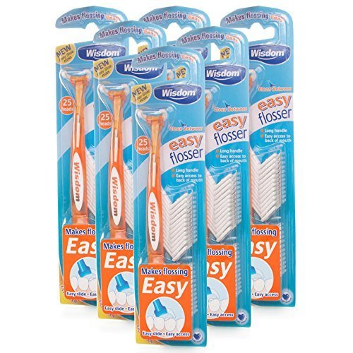 Wisdom Easy Floss Daily Flosser 6 Pack