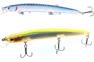 PESCASUBITO.COM Kit 2 Long Jerk Spinning Spigola Serra Barracuda Pesca Mare Esca Artificiale
