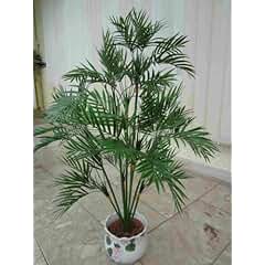 Suchergebnis auf Amazon.de für: künstliche Palmen: Garten