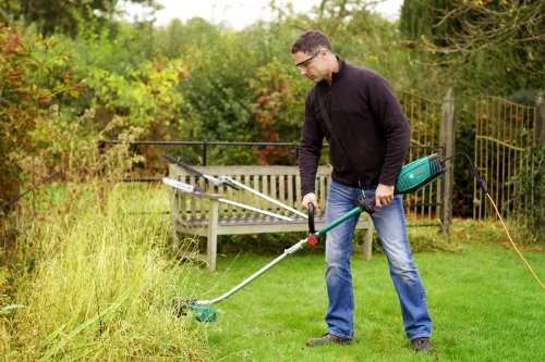 Bosch – F016800323 – Schneidedraht 3,5 mm Durchmesser 15 cm für AMW 10 RT - 2