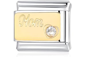 JAHN JEWELLERY Family Italian Charms Collection - Mom, Aunt, Sister, Cousin, Daughter and Best Friend Italian Gift Charm Fits all 9mm Italian Style Charm Bracelets Mom Italian Charm