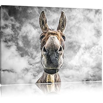 Stampa Su Tela Pixxprint 'Divertente Donkey Art' B/N – 100x70 Cm, Arte Murale Made In Germany