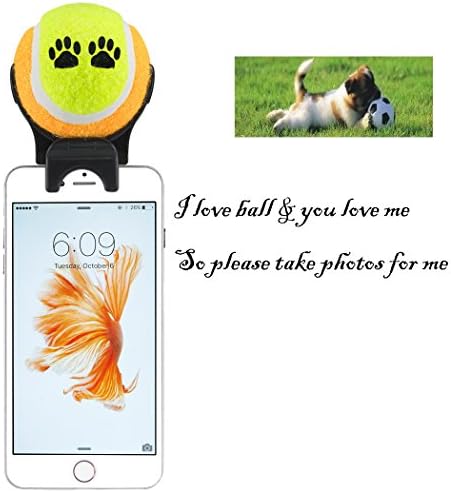 Smartphone Attachment Selfie Stick for Pet - Pet Selfie Stick - Pet agility training - pet toy (yellow orange)