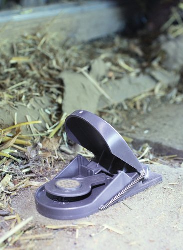 SWISSINNO1 003 223 SuperCat Mausefalle 2 Stück inkl. Naturköder + 6 Ersatzköder - 4