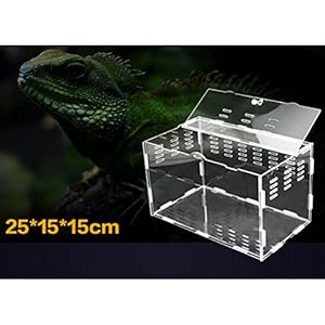 Zhuhaitf Acrylic Transparent Reptile Box Mouse Bird Spider Scorpion Gecko Insect Snake Tortoise School office GiftReptilienbox