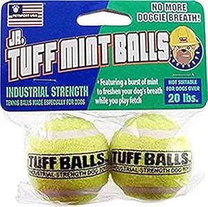 Petsport Jr. Mint Balls Dog Toy, 2 Pack