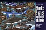 Image de Field Guide to Sharks, Skates, and Ratfish of Alaska