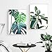Produktbild XWArtpic Tropische Monstera Blatt Pflanze Nordic Poster Und Drucke Wandkunst Leinwand Malerei Skandinavischen Wandbilder Für Wohnzimmer Decor 60 * 100 cm * 2 stücke