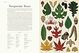 Image de Botanicum