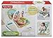 Fisher-Price Newborn to Toddler Rocker